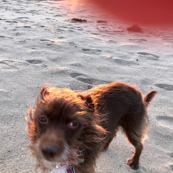 Meet your Posher, Elim - Picture 6 of 13